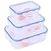 JMYDecor Contenitori Alimentari, Set contenitori per Alimenti plastica Senza BPA, Impilabile 3 Pezzi, Adatto per lavastoviglie, Congelatore, Microonde