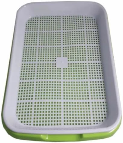 Bandeja Verde Para Microverdes Dupla Camada Germinação Broto
