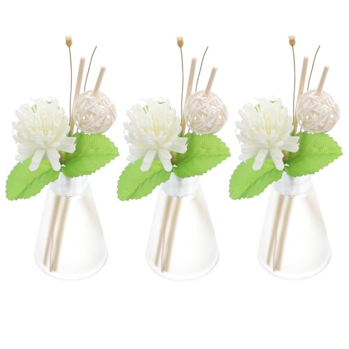 Set de 3 difusores de varillas de aroma con botellas de vidrio miniatura 1