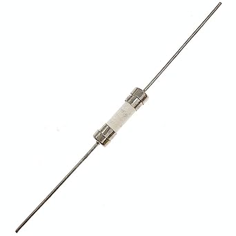 20pcs T2AH250V Ceramic Axial Lead Fuses 5x20mm/0.2"x0.79" Time-Lag Slow-Blow 2AMP 250V Time Delay Fuse