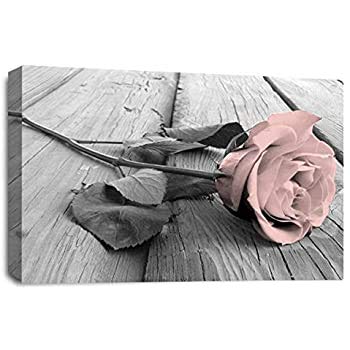 HYFBH Imprimir en Lienzo Rosa Rosa Arte de la Pared Gris Blanco...