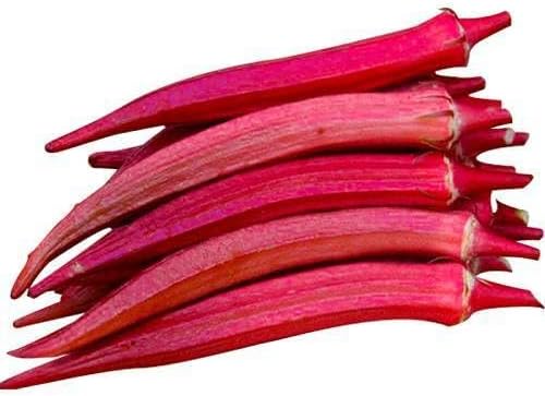 100pcs red Okra Vegetable Seeds