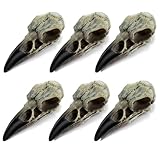 HTZNHXT 6Pcs Halloween Raven Skull Decor, Gothic Fake Crow Skull for Necklace, Resin Bird Skulls Pendant for Halloween Costumes, Wall Decorations