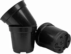 30 Mini Vasinhos Coloridos Pote 6 De 80ml Castos E Suculentas mudas lembrancinha (PRETO)
