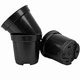 30 Mini Vasinhos Coloridos Pote 6 De 80ml Castos E Suculentas mudas lembrancinha (PRETO)