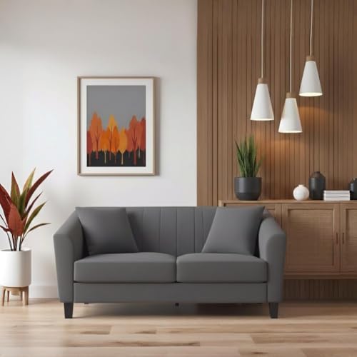 Image of Avion Natalia 2 Seater Sofa Set for Living Room Dark Grey | Modern 2 Person Sofas Furniture | Fabric Sofa Set 2 Seater Couch for Guests Room Festival Gifts
