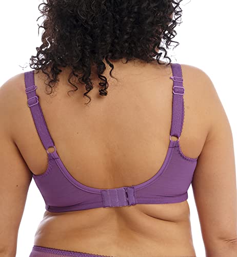Image of Elomi Women's Charley Stretch Plunge Bra: Stretch Lace & Mesh, Racerback Option. Low Plunge UK Sizes D-JJ, US Sizes D-N