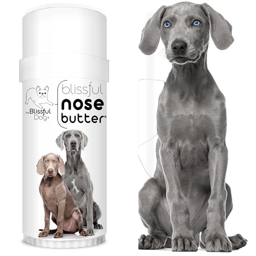 Image of The Blissful Dog Weimaraner Nose Butter, Versatile Dog Nose Balm for Dry Nose, Handcrafted Nose Moisturizer, Easy-to-Apply Dog Essentials, Unscented, 2 oz.