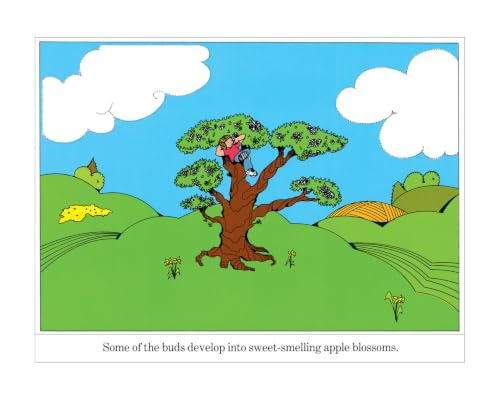 Image of The Seasons of Arnold's Apple Tree: Follow Arnold and his apple tree through spring, summer, fall, and winter―with a pie recipe and cider press facts for kids 4-7
