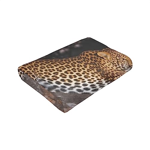 Couverture flanelle léopard en micro-polaire de qualité supérieure - 7