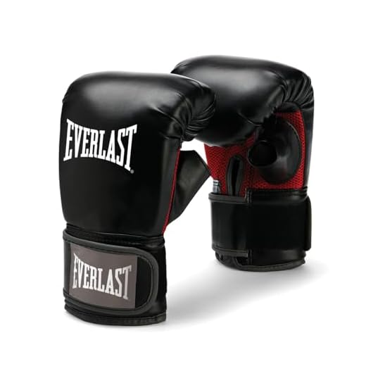 Everlast Mixed Martial Arts Heavy Bag Gloves (L/XL)