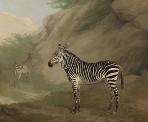 Cuadro en lienzo cebra 60x90cm: impresión decorativa de Jacques Laurent Agasse para pared