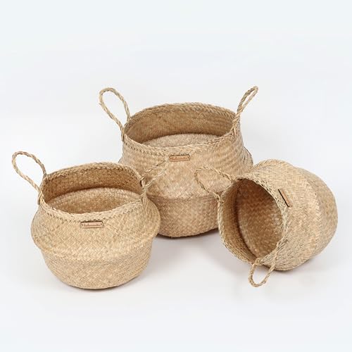 Image of Habere India-All the Cultures Fabricating India Wicker Basket for Plants | Baskets Home Decor | Bamboo Storage Baskets | Toy Organiser | Seagrass Belly Basket - Round; Beige (Set of 3 - S; M; L)
