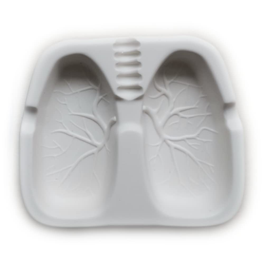 Amazon.co.jp: 肺型灰皿 禁煙灰皿 クリエイティブファッション灰皿