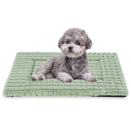 BVAGSS Flauschiges Orthopädisches Hundebett, Waschbar Hundematte, rutschfeste Unterseite, Plüsch Hundekissen Weiche und Warme Hundematte für klein mittel große Hunde XH082 (60x45cm,Grün)