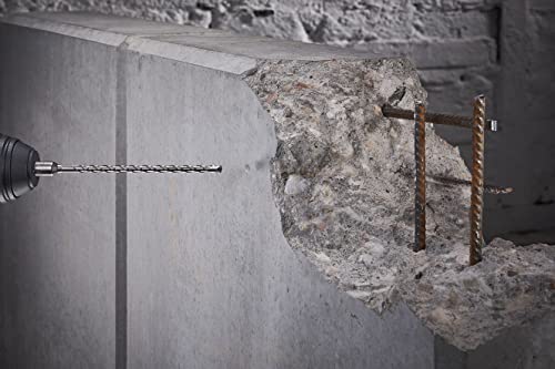 Wolfcraft Punta in metallo HSS rettificata, codolo...