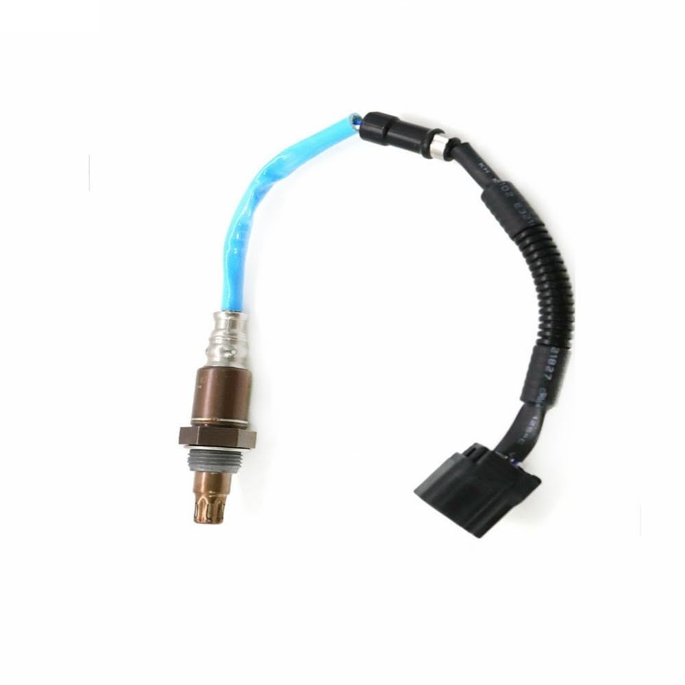 DIRTY JOINT / DOPE茅ヶ崎 邦楽 CHIGASAKI / Dirty Joint 邦楽