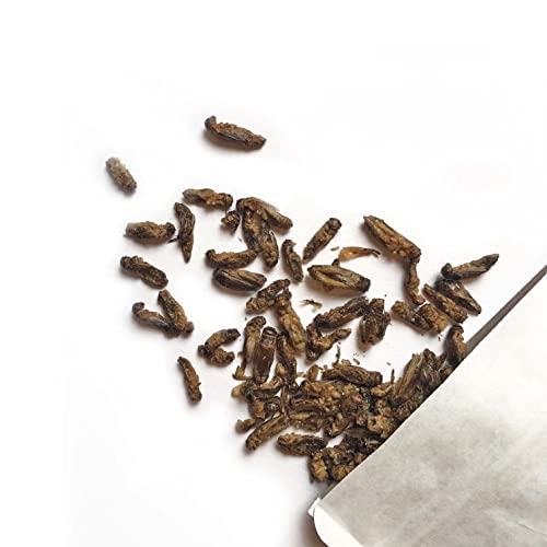 Crunchy Grillen 'Salt' - 20g Insekten Snack zum Sofortverzehr oder als Kochzutat - Insektensnack von 'SNACK insects'