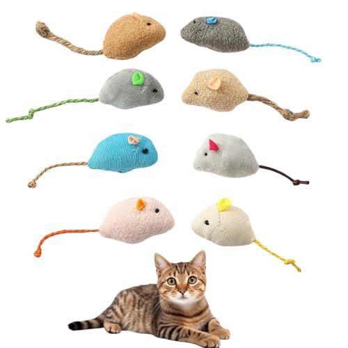 Lifetips `Cj[YE[t@ Lp lY~ʂ 8Zbg qL L V XgXU ^s ӂӂf L炵  ybgObY