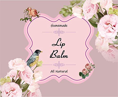 ZZYBIA ƐXLPAi SxXebJ[ bvN[e`[up 20(sNJ[l[V)