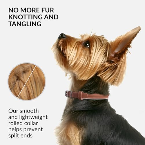 Tangle-Free Reflective Leather Dog Collar