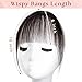 Bangs Hair Clip in Bangs 100% Real Human Hair Extensions Wispy Bangs Clip on Air Bangs for Women Hairpieces Curved Bangs for Daily Wear (A-Natural Black, Wispy Bangs)