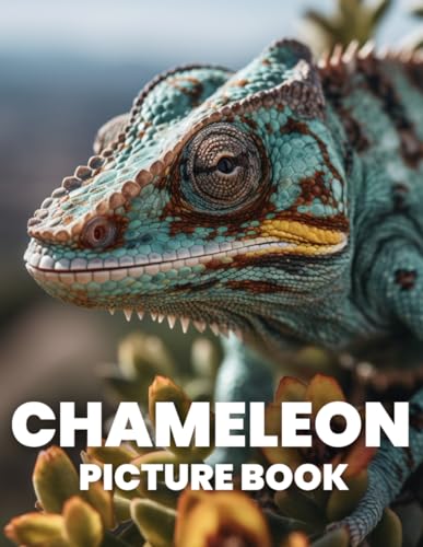 Chameleon Picture Book: A Picture Book Journey Into The Hidden Lives Of Chameleons