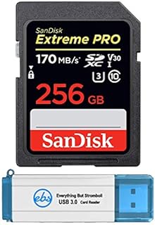 SanDisk 256GB SDXC SD Extreme Pro Memory Card Bundle Works with Canon EOS Rebel T5, T5i, T6, T6i, T7, T7i Digital DSLR Camera 4K V30 (SDSDXXY-256G-GN4IN) Plus 1 Everything But Stromboli TM 3.0 Reader