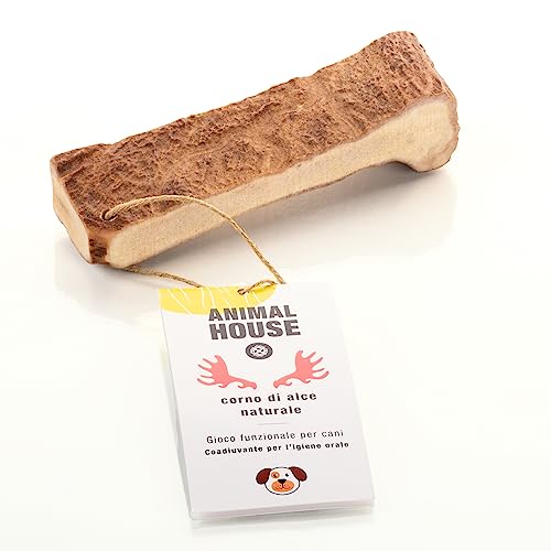 Animal House - Corna di Alce per Cani