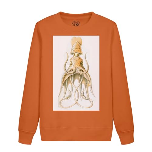 Sweatshirt calamar dessin ancien vêtement enfant finitions soignées