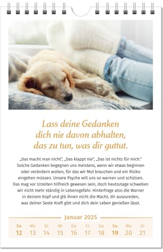 Der Lebensfreude-Kalender 2025: Der Original-Wandkalender, der meistgekaufte Kalender Deutschlands, 40 Blatt mit Spiralbindung. Mit motivierenden ... psychologischen Impulstexten und Naturfotos