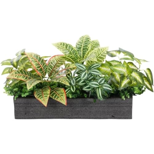 RoBeKaU lHϗtA ^ tFCNO[ e[up[e[V CeAO[ lHAZbg ƒEItBXp (50*20 C)