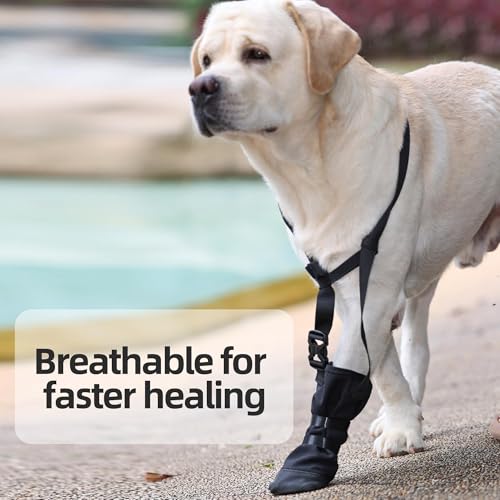 Dog Paws Recovery Shoe,Hundeschuhe zur Erholung,Hundeschuhe Pfotenschutz,Haustierwunden Verhindern Lecken,Atmungsaktiv,Weich,Nässe Und Infektion,Waschbar Und Wasserdicht Für Pet Verletzung Recovery,XL