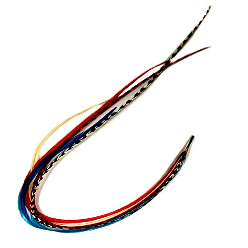 NEW 7"-11" Feather Hair Extension Red,Turquoise,Ginger,Blonde & Grizzly Feathers (5 Feathers Bonded At the Tip)