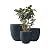 Kante 20",16.5",13.4" Dia Round Concrete Planters (Set of 3), Outdoor Indoor Modern Decorative Plant Pots with Drainage Hole & Rubber Plug for Home & Garden, Charcoal