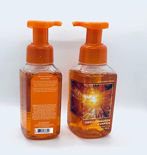 Bath & Body Works Sweet Cinnamon Pumpkin Gentle Foaming Hand Soap (2-Pack) #TOP1