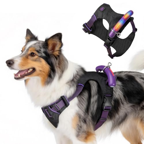 Escape Proof Dog Harness with LED Handle, 29-35in Chest Medium-Large Dogs