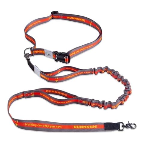 JC HOUSE Hands Free Dog Leash with Waist Belt Lifetime Replacement, Dual Handle Bungee Leash for Running, Jogging, Hiking and Walking, for Medium and Large Dogs 5518 Cover
