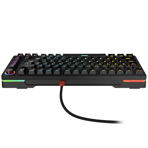 Teclado Gamer Mecânico 75% Pcyes Rasec - Gasket Mount - Gateron Brown – LED RGB – TWGBRRGB