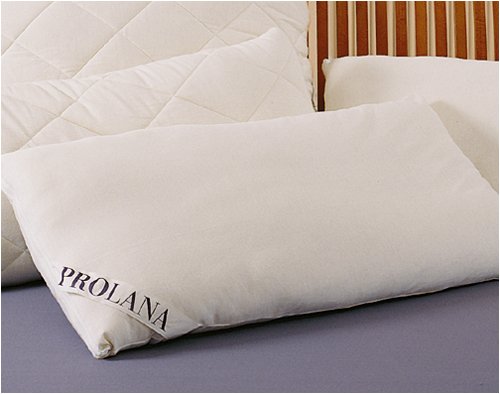 Prolana Coussin en Laine Vierge