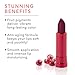 100% PURE Pomegranate Oil Anti-Aging Lipstick Long Lasting, Vibrant Makeup - Moisturizing Cocoa Butter Satin Finish - Vegan Fruit Pigmented Black Rose Color (Cool Deep Wine) - 0.15 oz