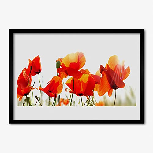 Affiche encadrée 70x50 cm maki plante nature tulup cadre mdf salon