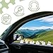UYUOO 6 Pack Glow in The Dark Cow Car Decor, Cute Luminous Resin Dashboard Decorations for Cars, 3.3cm Funny Animal Touchscreen Accessories (Transparent)
