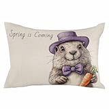 Funda de Almohada Decorativa Feliz Día de la Marmota, Sala de EST