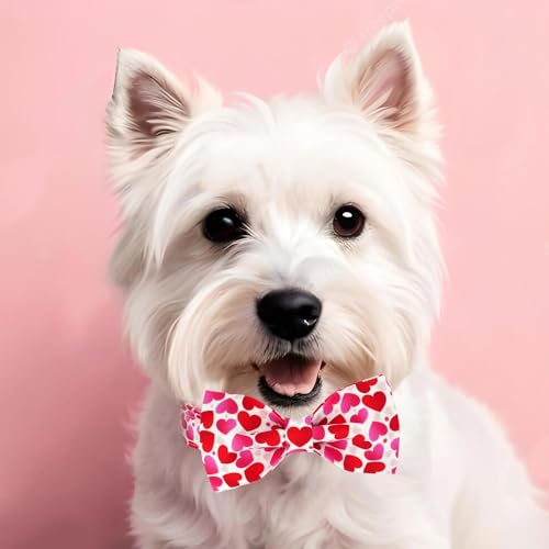 Image of Tunkoo Valentine's Day Dog Collar with Bow Tie - Adjustable and Adorable Pet Collar - Red Hearts with Rose Gold Buckle for Large Medium Small Dog Walking, S