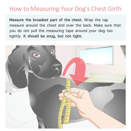 Chochocho Stylish Dog Hoodie Dog Clothes Streetwear Cotton Sweatshirt Fashion Outfit For Dogs Cats Puppy Small Medium Large (2Xl, Black) #TOP6