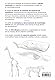 Anatomía artística 9: Mamíferos: morfología comparada