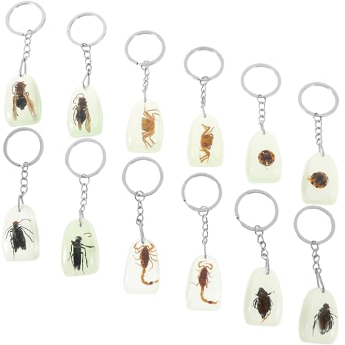Holibanna 12 Piezas Llavero Ámbar Especímenes De Llaveros Espécimen Llaveros Colgante De Ámbar Insectos Colgante De Llave De Insectos Colgantes Creativos Llaveros De Diseño Resina Artificial