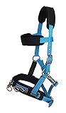 PRORIDER Horse Nylon Lunge Cavesson Neoprene Padded Training Halter Turquoise 606F03F