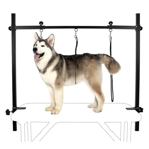 LEIBOU H-Shape Pet Grooming Table Arm with Noose and Clamp for Dogs and Cats Heavy Duty Aluminum Alloy Frame with 35.4” Adjustable Height and 36.2” ~ 50” Adjustable Width (H-Shape Arm)